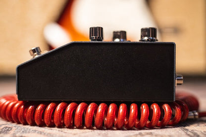 boss IR 200 amp and cabinet pedal haggertys 09