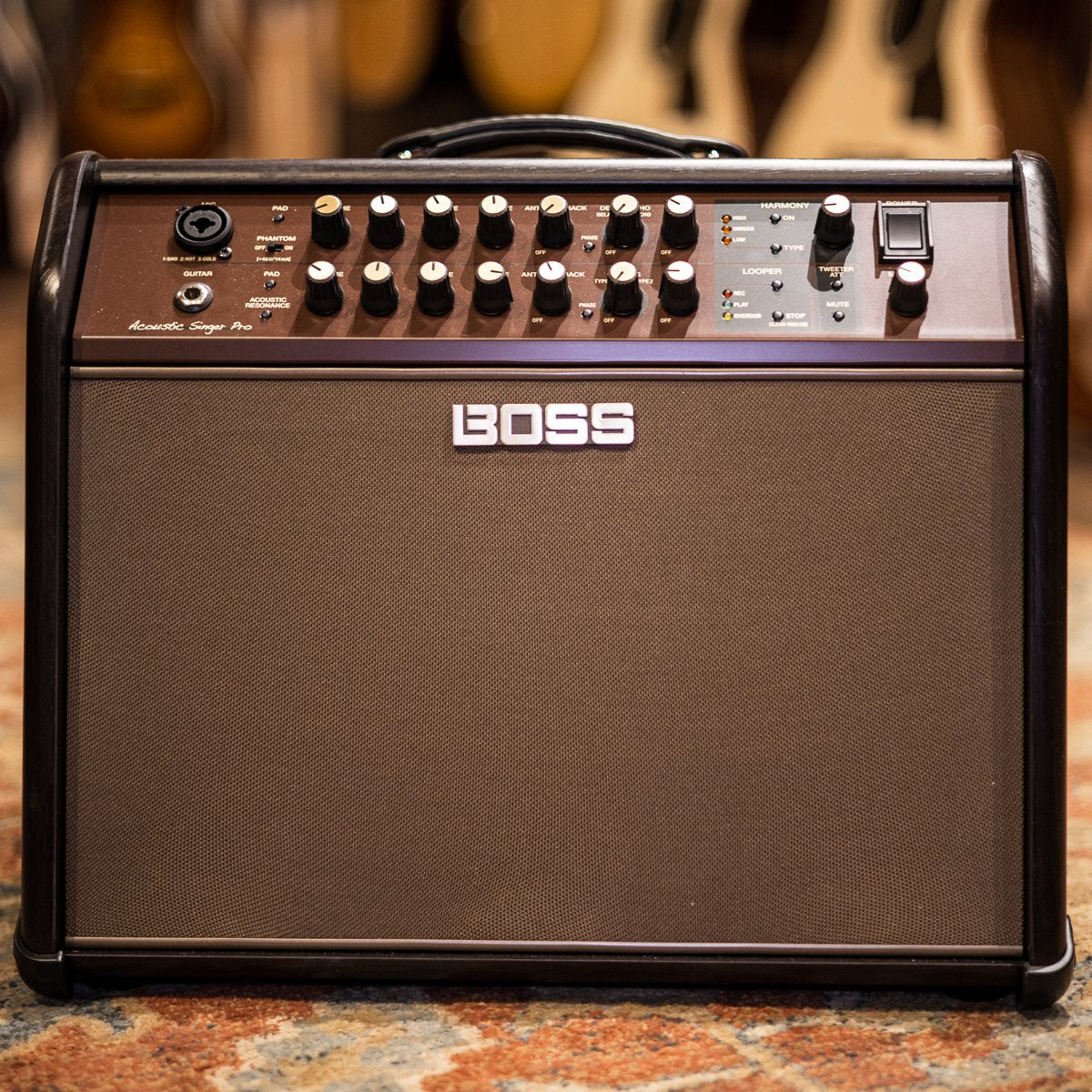 boss acoustic singer pro amplifier 2