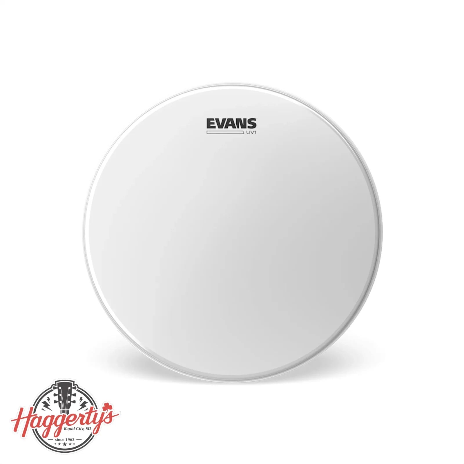 evans UV1 drum head haggertys 01