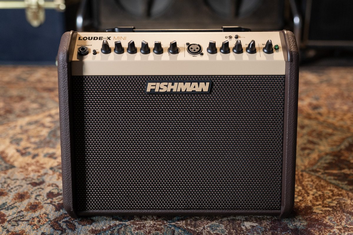 fishman loudbox mini amp haggertys 02