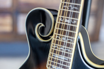 gold tone gm 35 f style mandolin 19