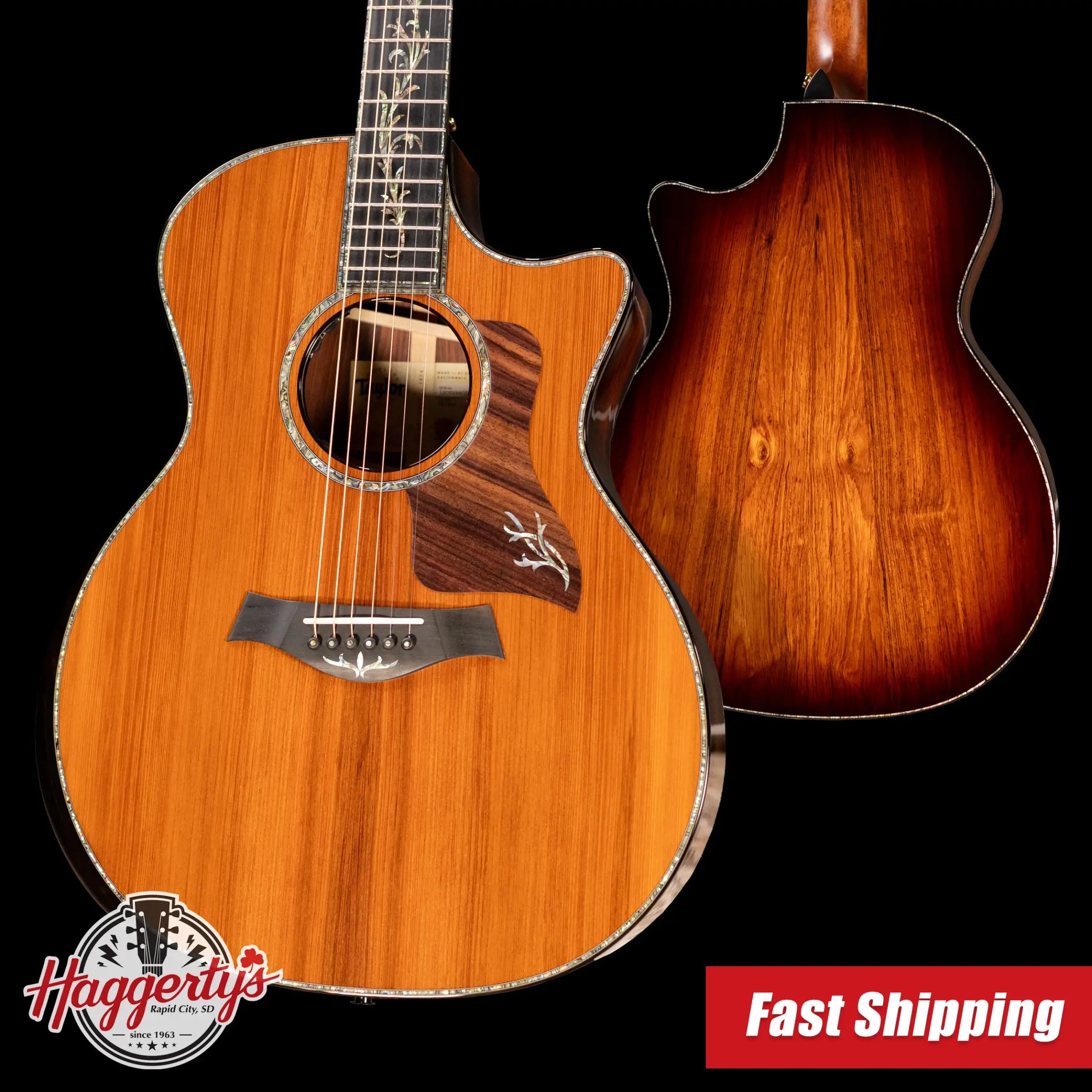 Taylor Next Generation PS14ce Presentation Series Grand Auditorium Acoustic/Electric Guitar - Honduran Rosewood/Sinker Redwood with Hardshell Case