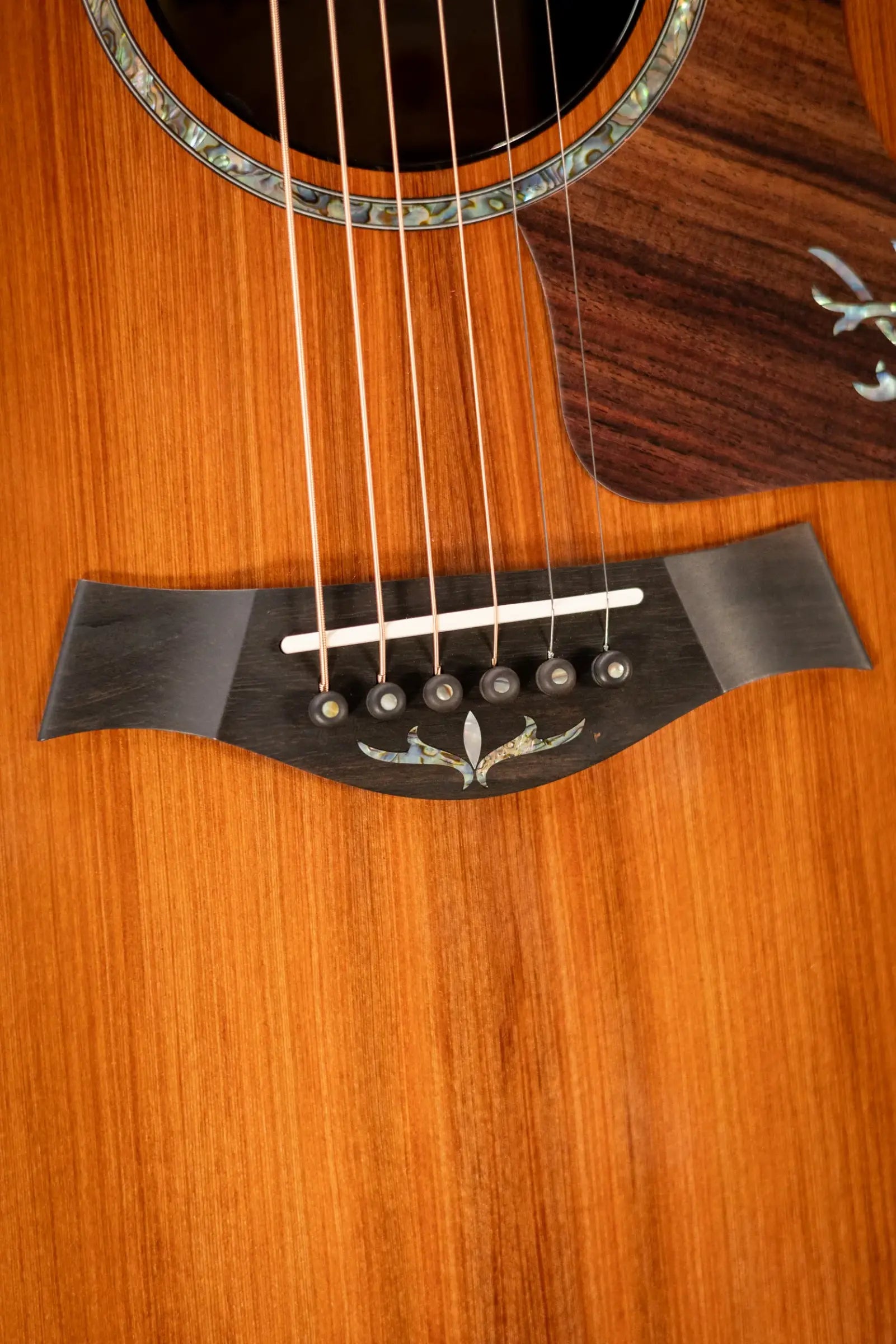 Taylor Next Generation PS14ce Presentation Series Grand Auditorium Acoustic/Electric Guitar - Honduran Rosewood/Sinker Redwood with Hardshell Case