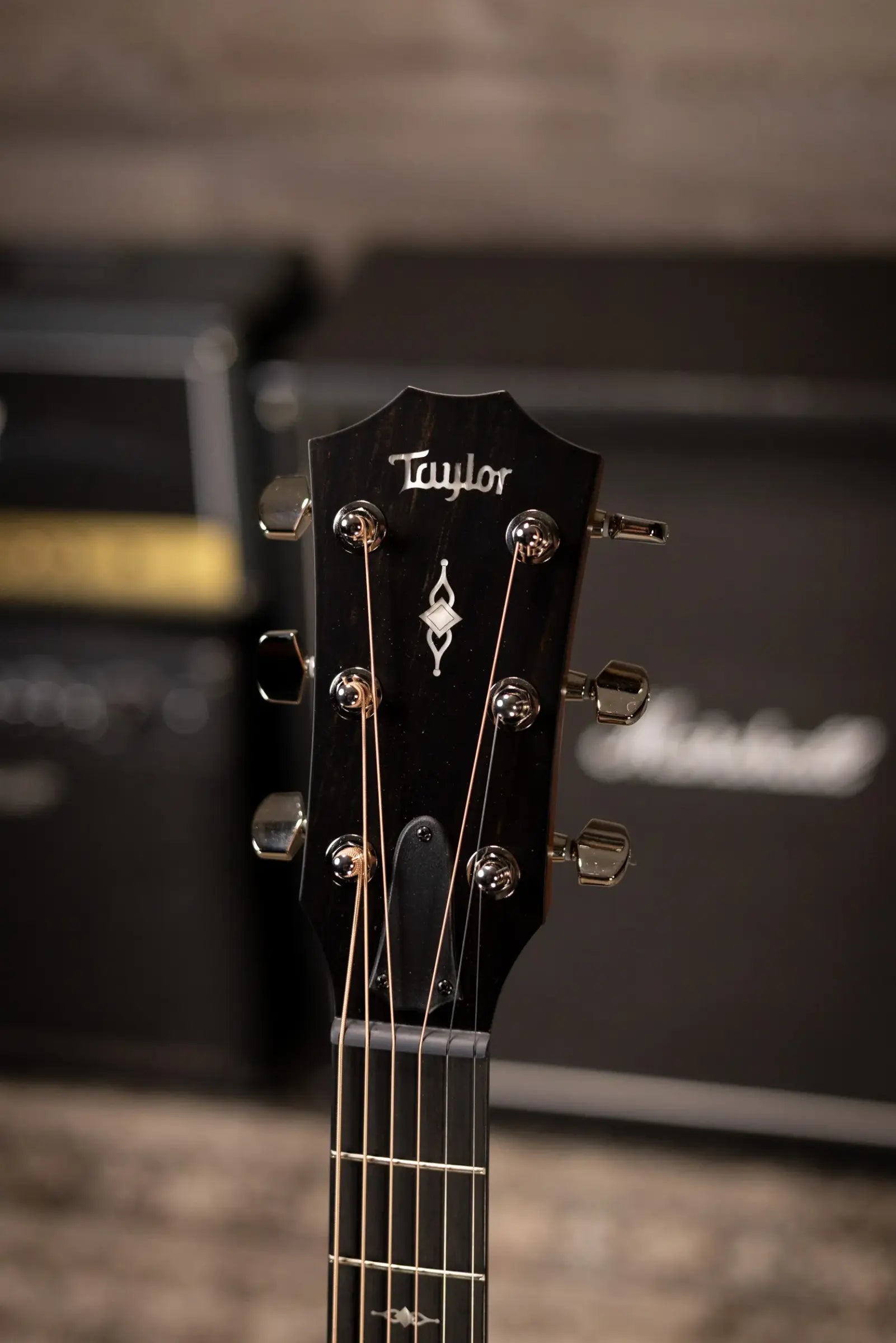 Taylor 312ce Grand Concert Acoustic/Electric Guitar with Hardshell Case