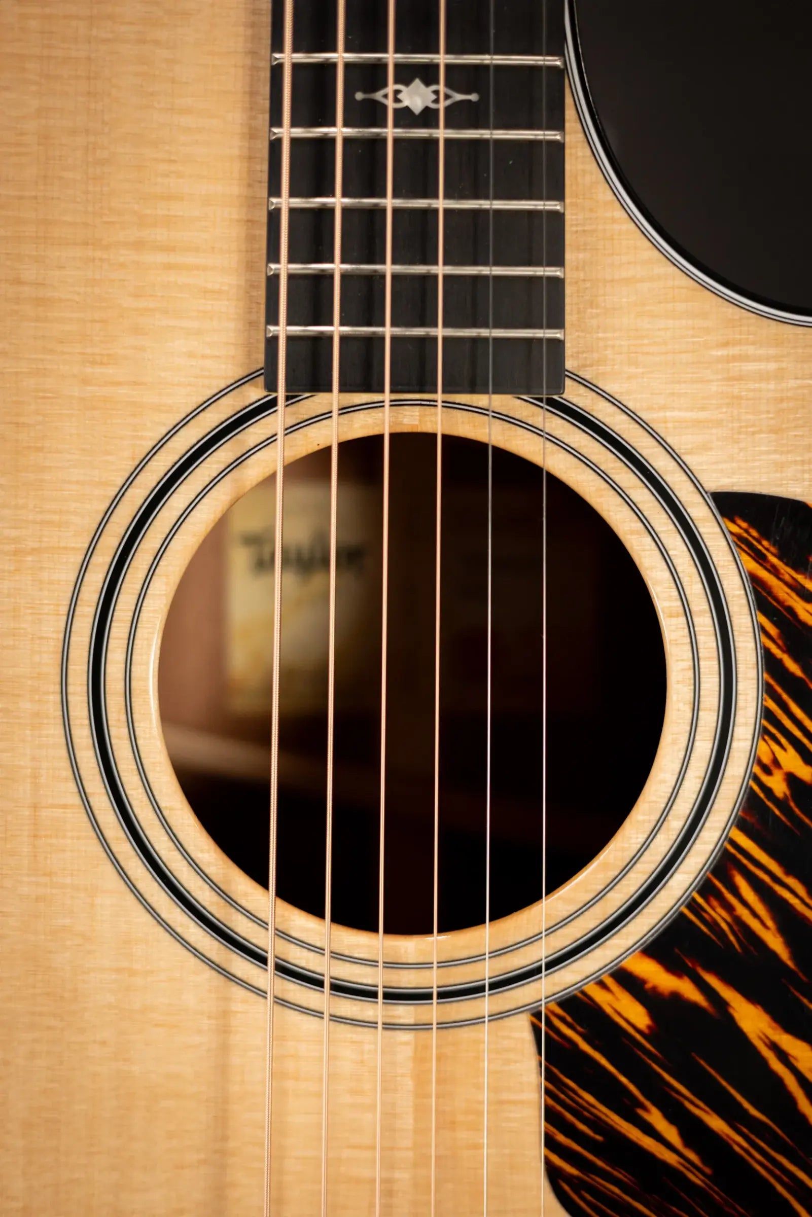Taylor 312ce Grand Concert Acoustic/Electric Guitar with Hardshell Case