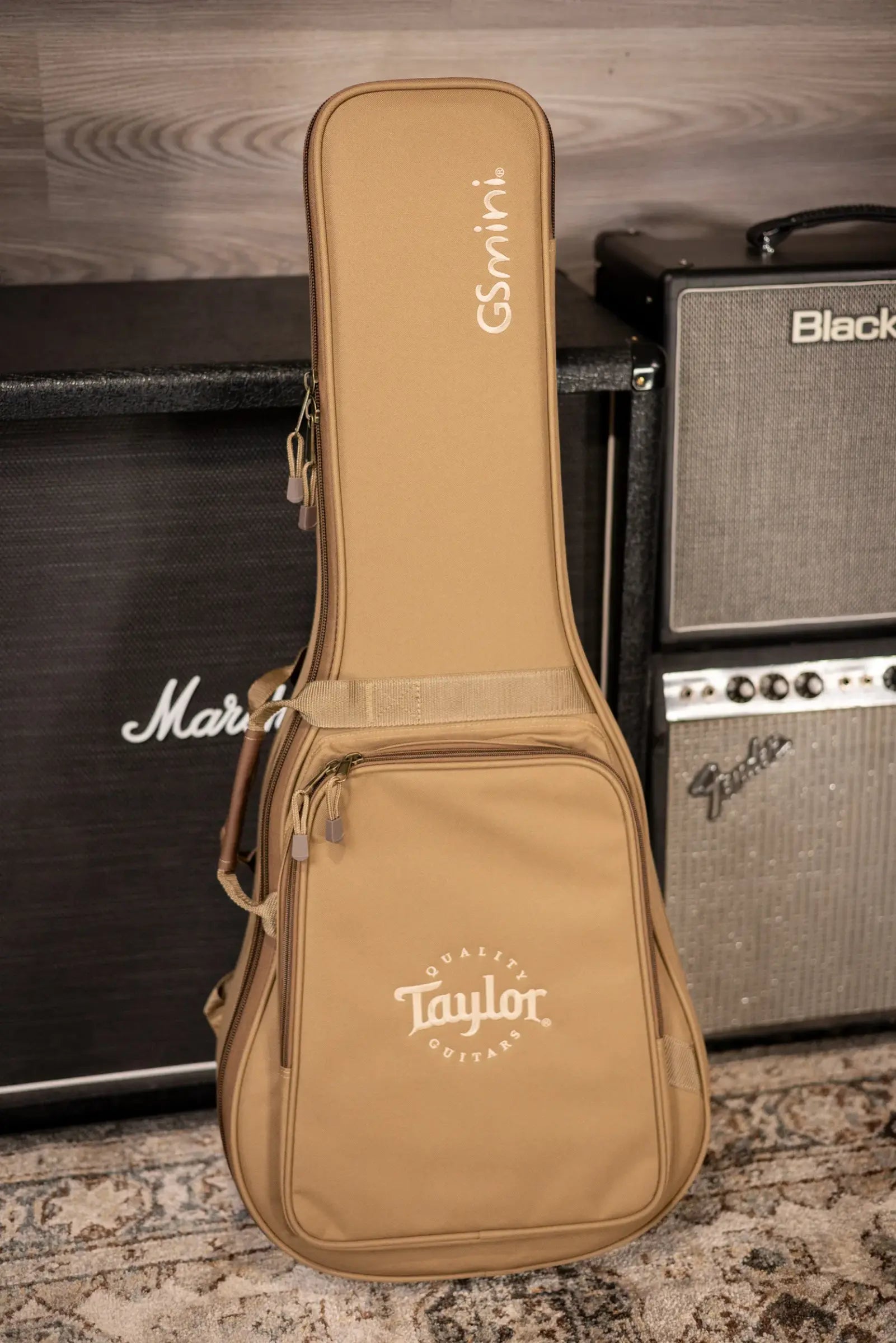 Taylor GS Mini-e Mahogany Acoustic/Electric Guitar with GS Mini Bag