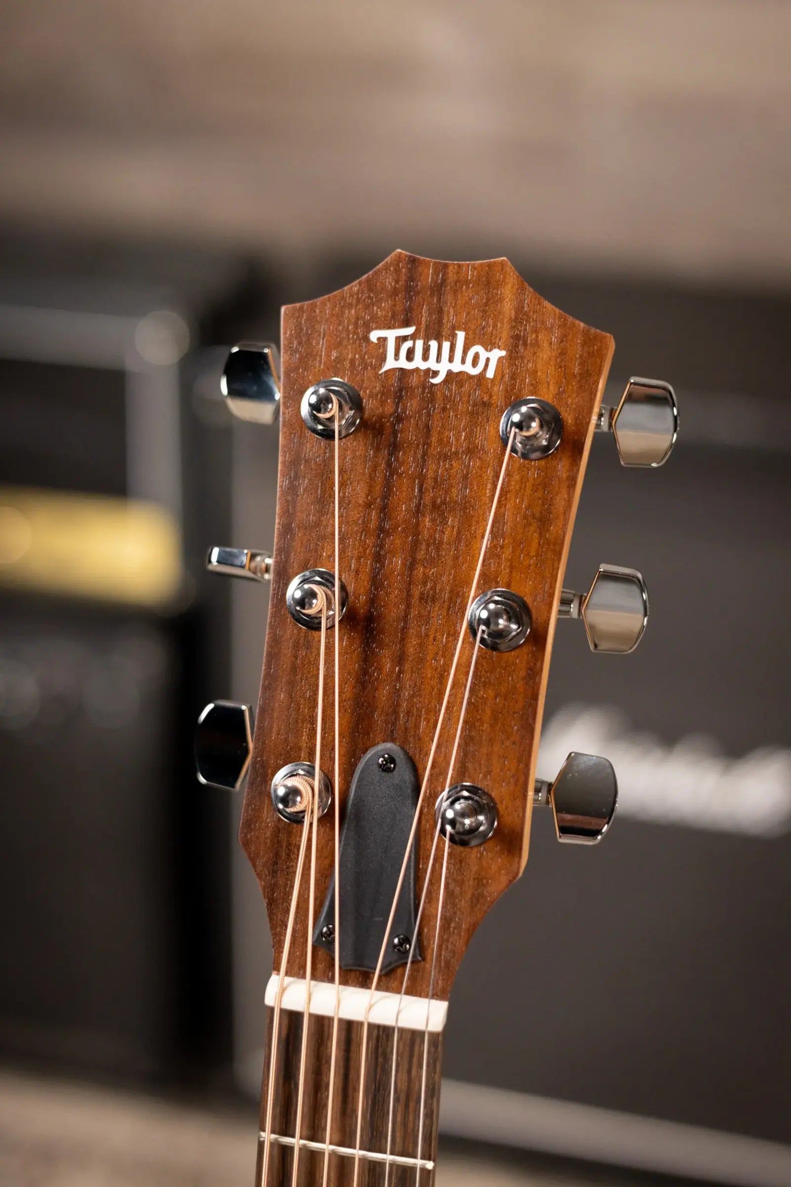 Taylor Academy 12e Grand Concert Acoustic/Electric Guitar with Gig Bag