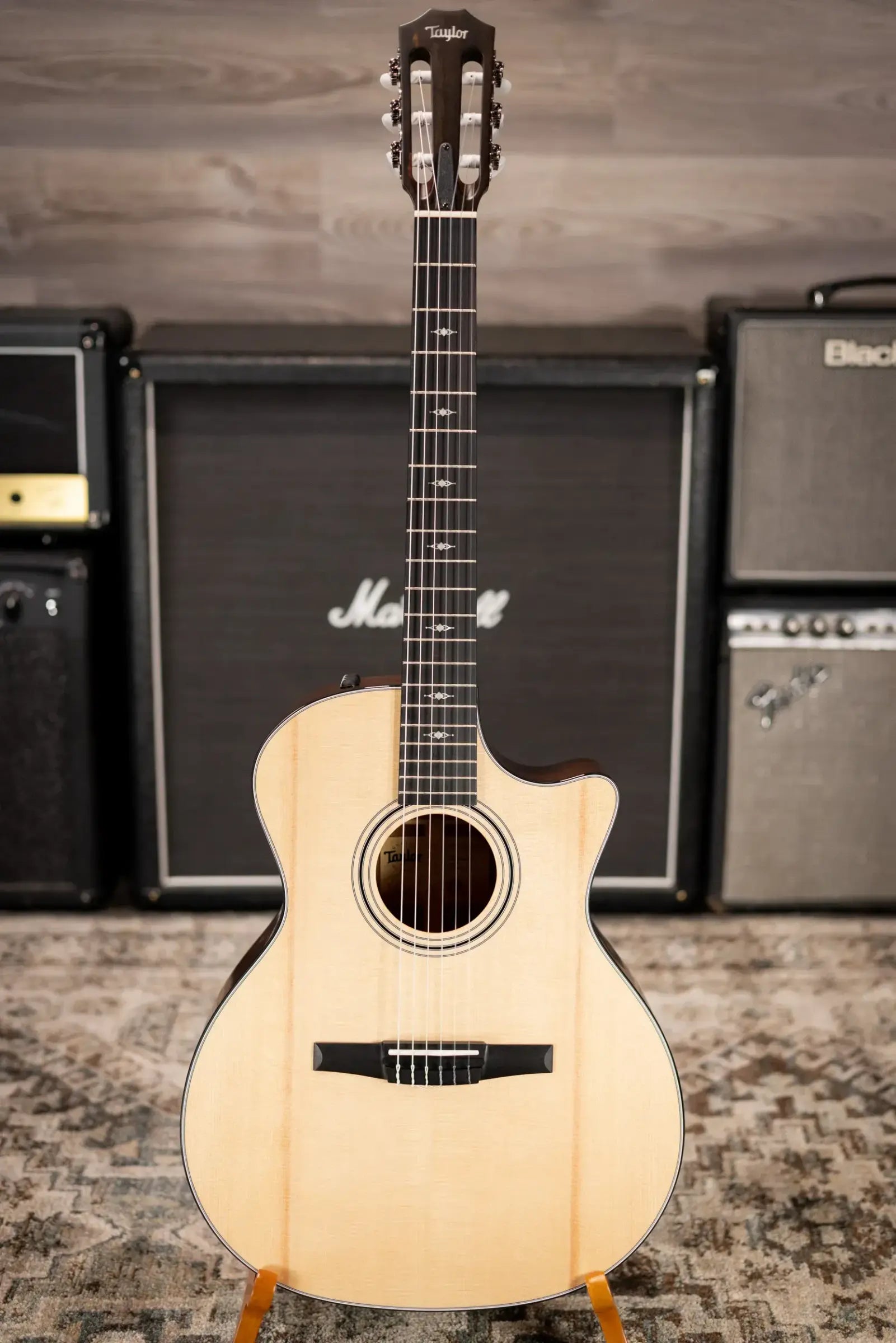 Taylor 314ce-N Nylon Grand Auditorium Acoustic/Electric Guitar with Hardshell Case