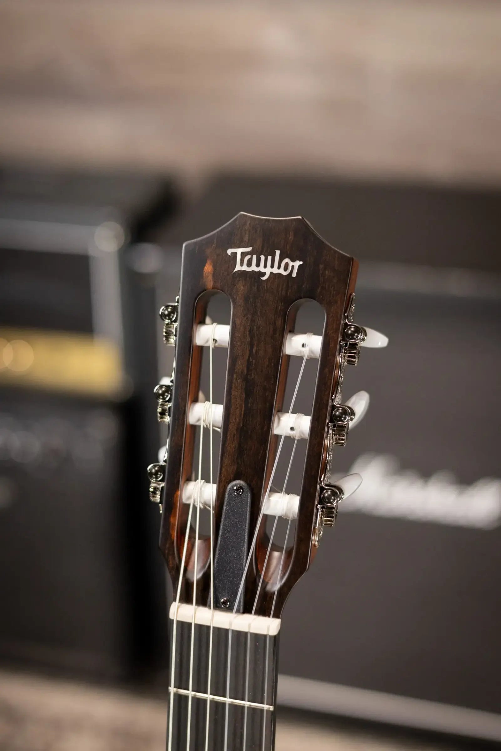 Taylor 314ce-N Nylon Grand Auditorium Acoustic/Electric Guitar with Hardshell Case