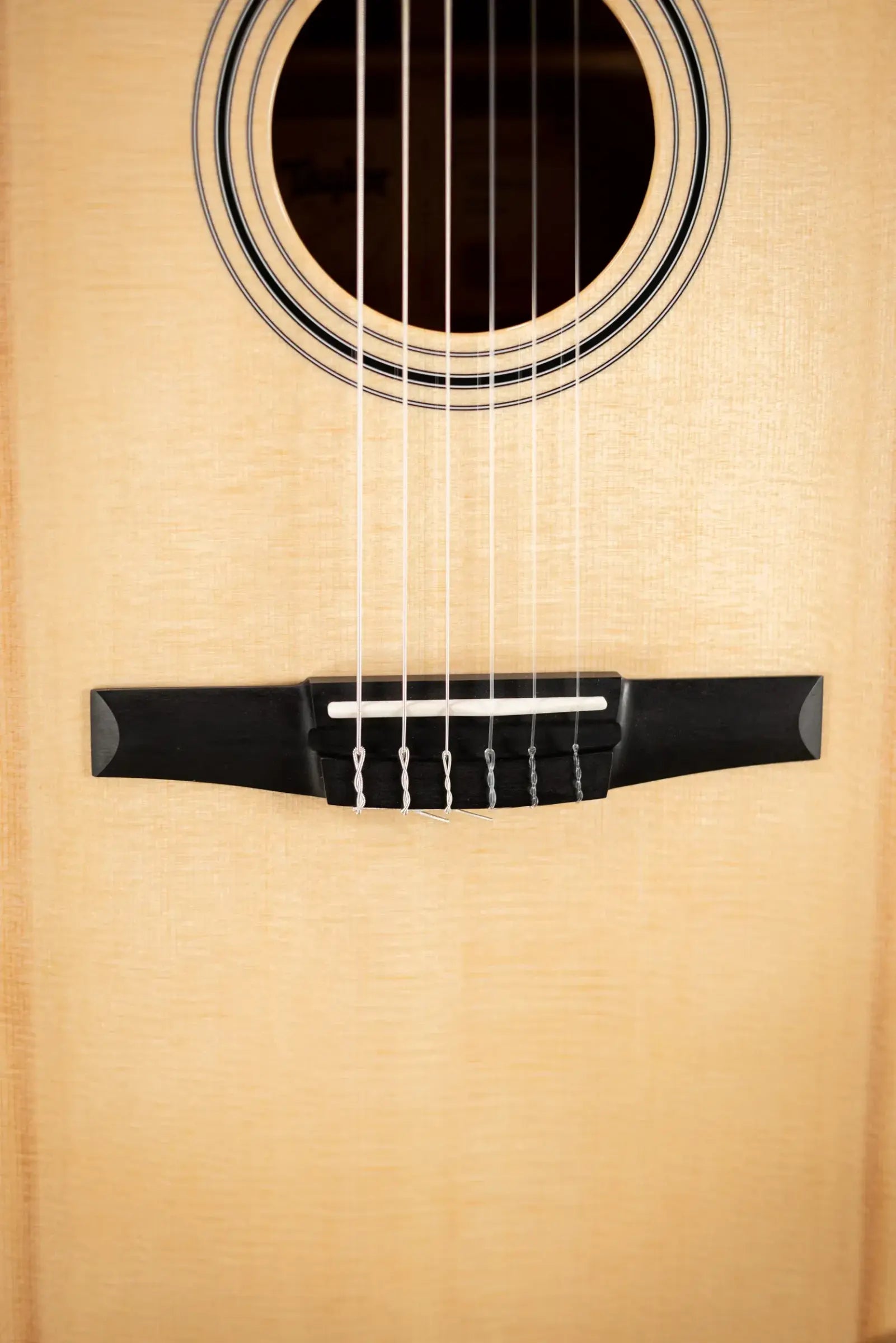 Taylor 314ce-N Nylon Grand Auditorium Acoustic/Electric Guitar with Hardshell Case