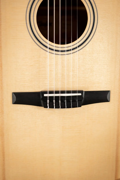 Taylor 314ce-N Nylon Grand Auditorium Acoustic/Electric Guitar with Hardshell Case