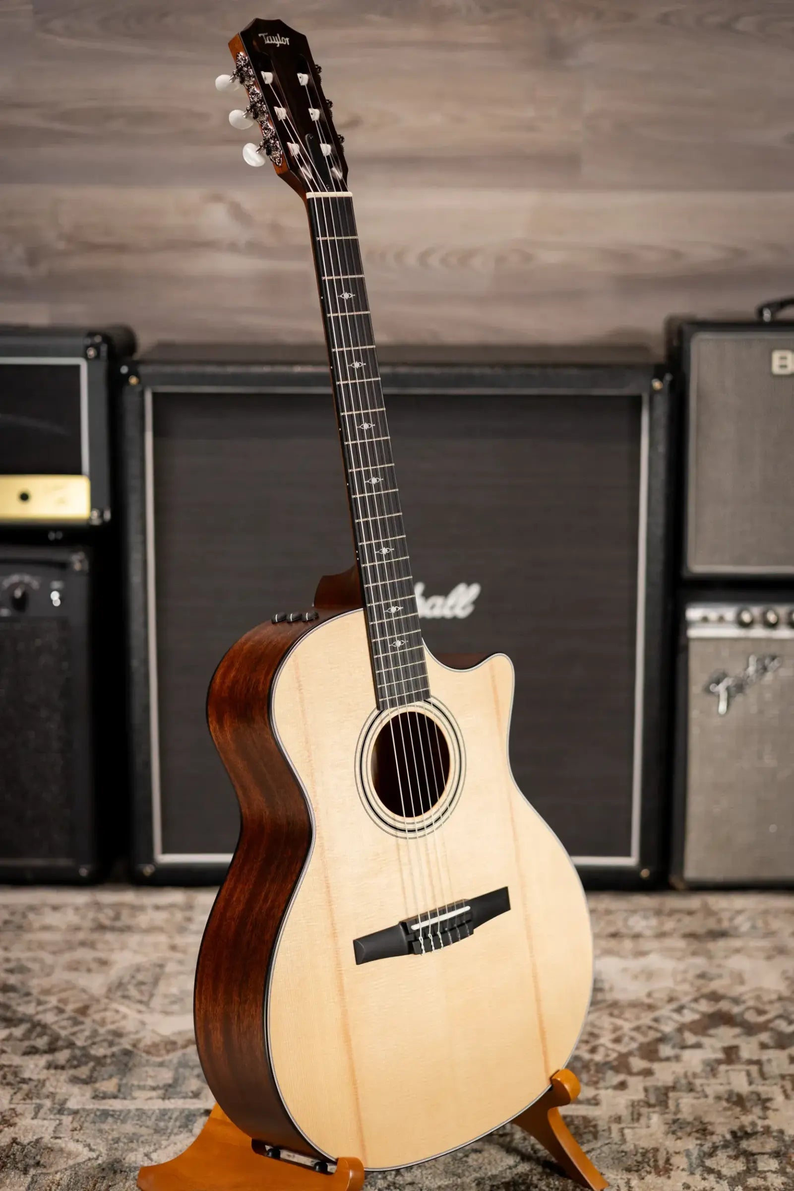 Taylor 314ce-N Nylon Grand Auditorium Acoustic/Electric Guitar with Hardshell Case