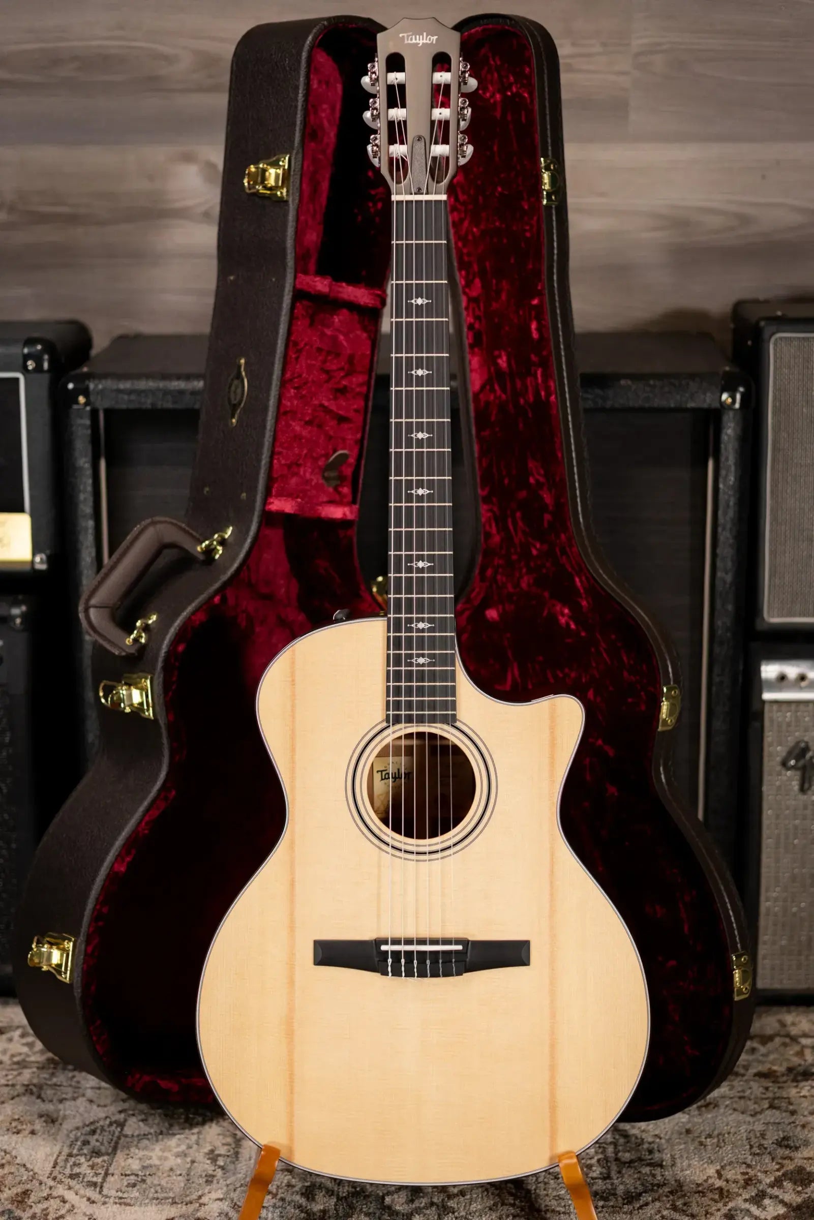 Taylor 314ce-N Nylon Grand Auditorium Acoustic/Electric Guitar with Hardshell Case