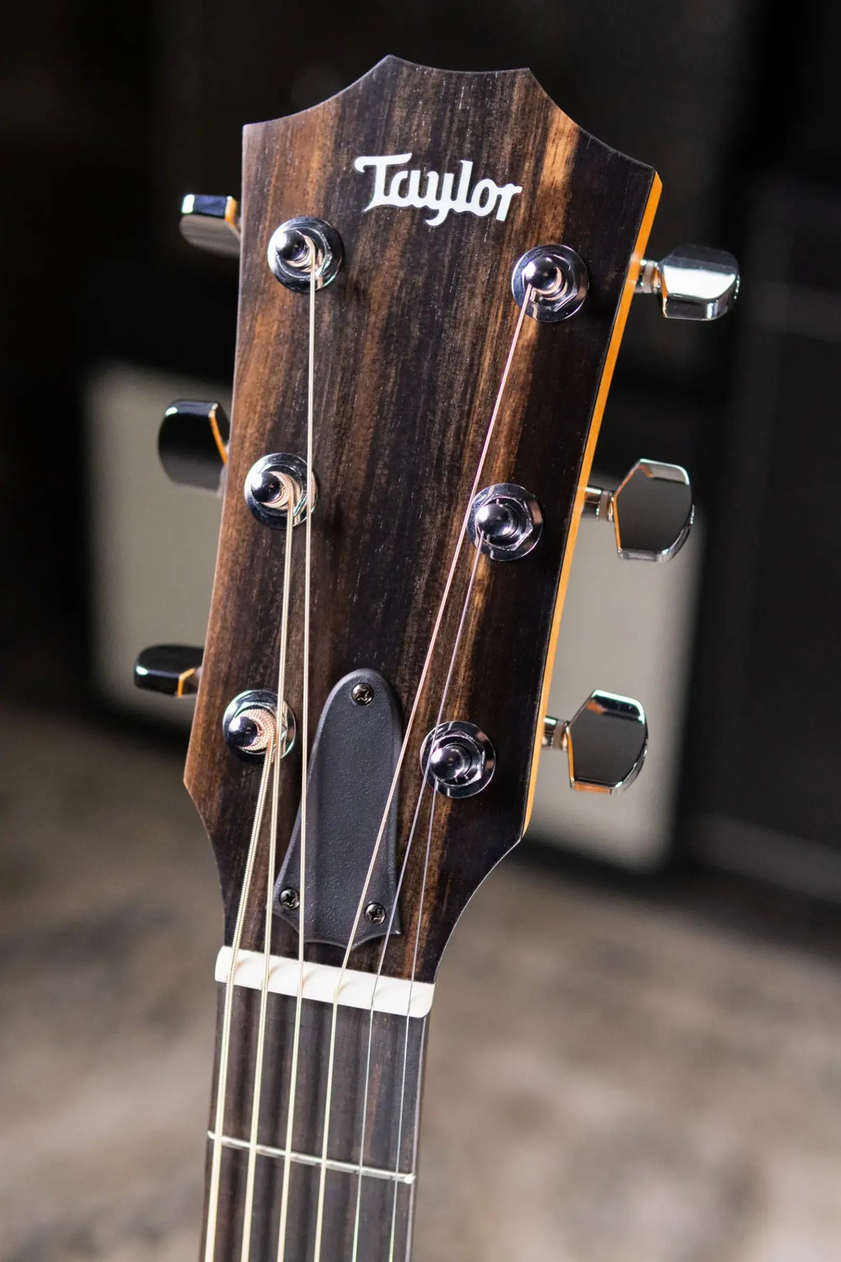 Taylor 214ce Grand Auditorium Acoustic/Electric Guitar with Gig Bag
