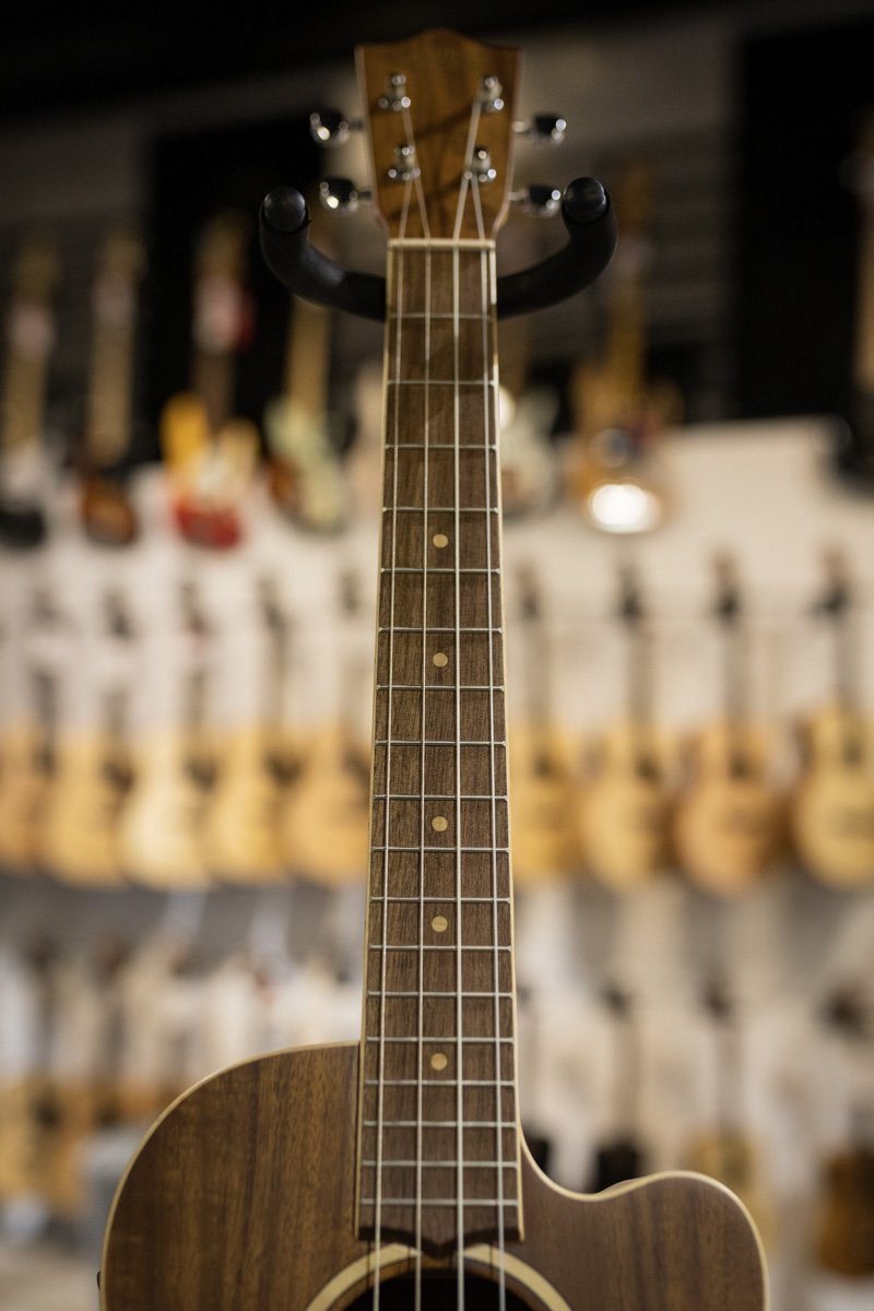 lanikai acst ceb acacia haggertys 04