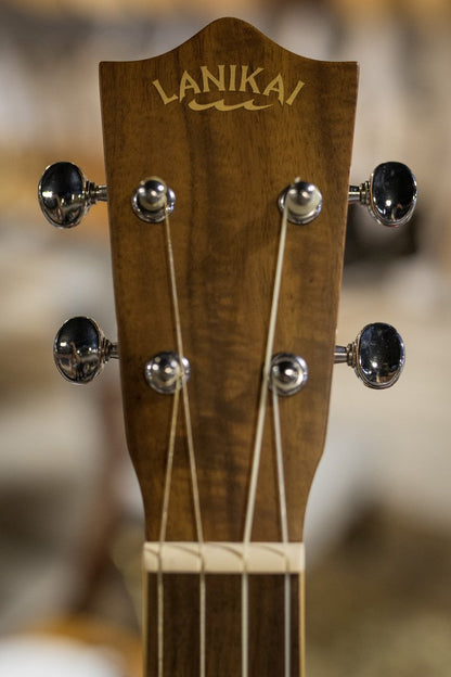 lanikai acst ceb acacia haggertys 05