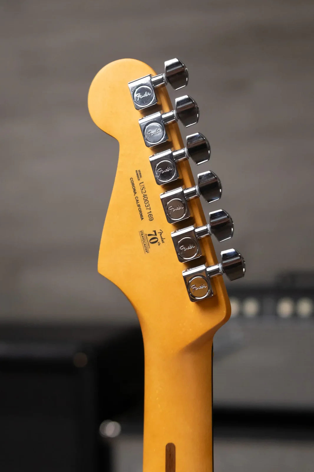 new 7.6 lb Fender American Professional II Stratocaster Thinline Transparent Daphne Blue with Hardshell Case haggertys 06