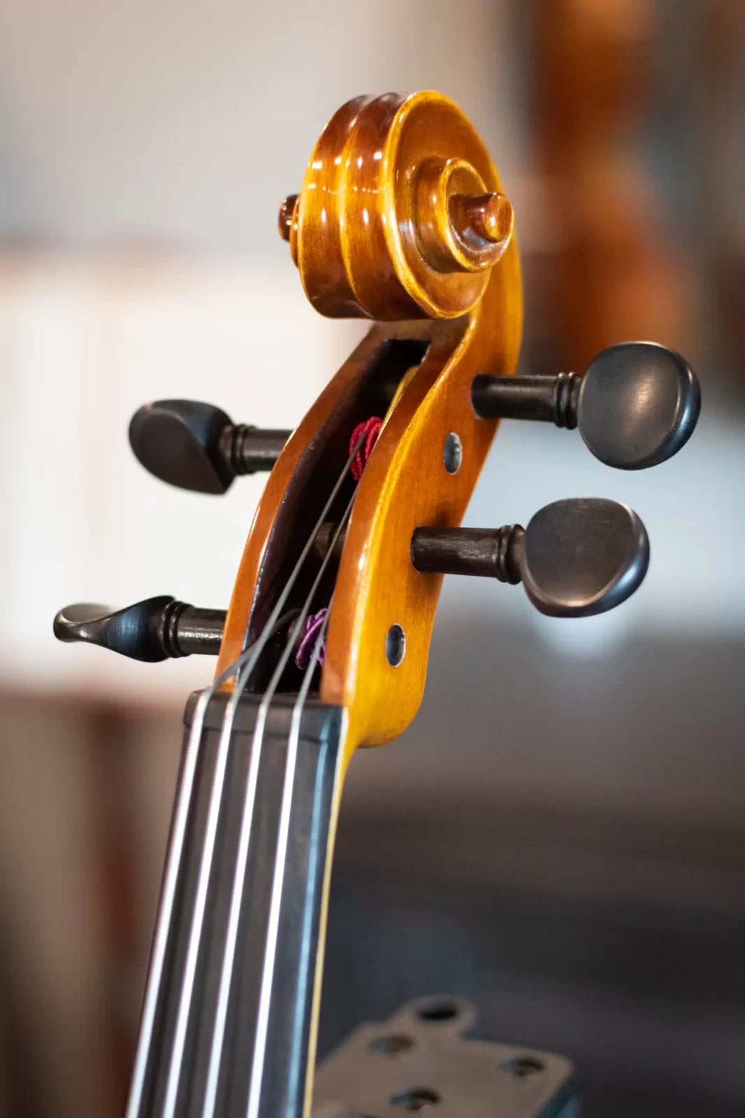(Rental) Howard Core A25e Viola Rental Outfit - 14"