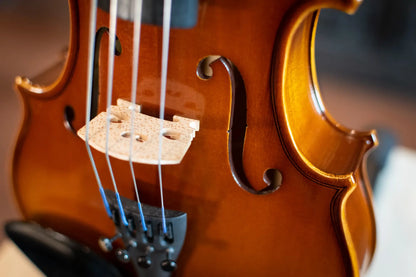 (Rental) Howard Core A25e Viola Rental Outfit - 14"