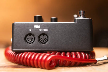 new Line 6 HX One haggertys 5