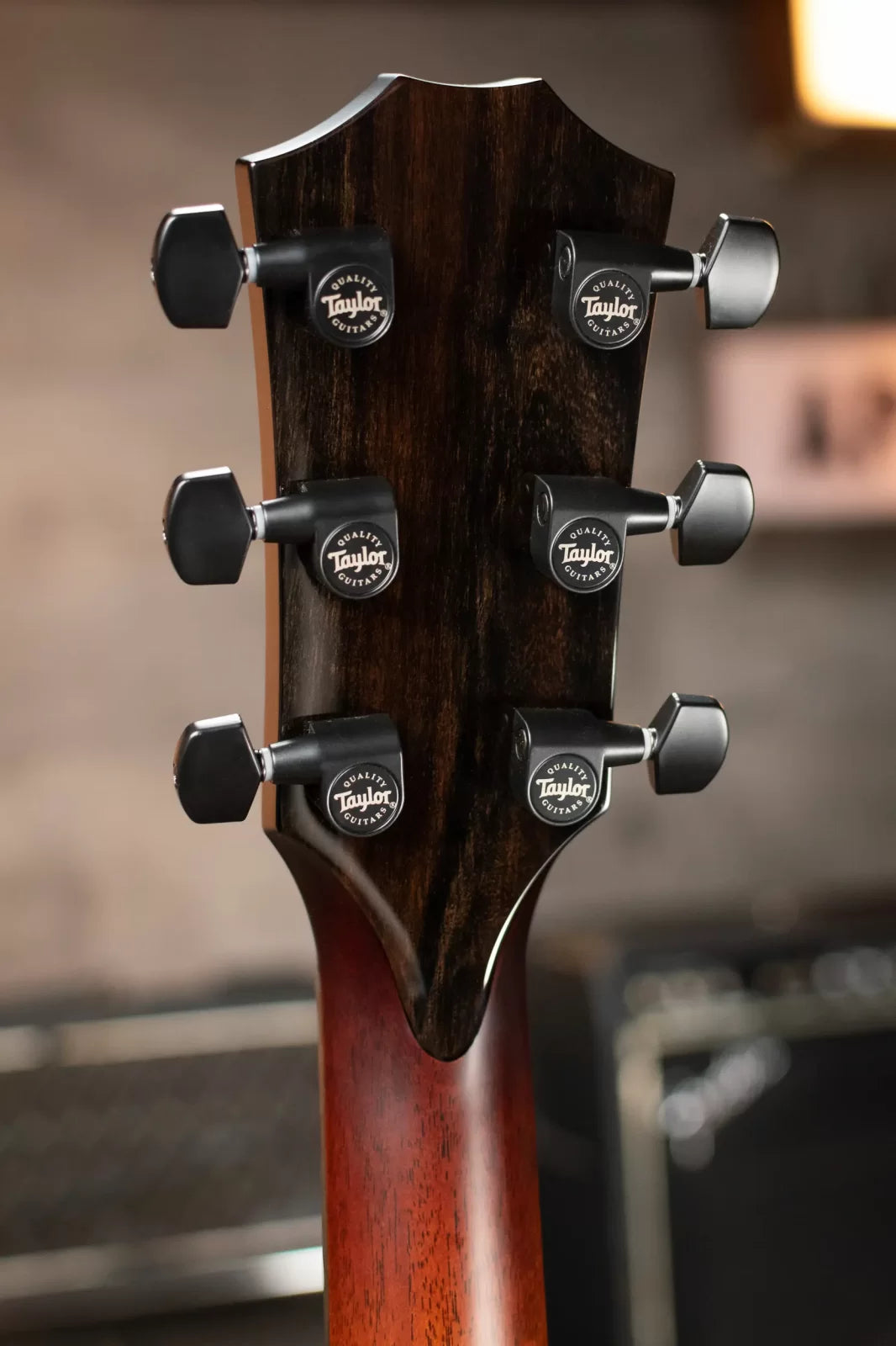 new Taylor Custom GS C16ce Honduran Rosewood Lutz Spruce Grand Symphony Acoustic Electric Guitar with Hardshell Case haggertys 08