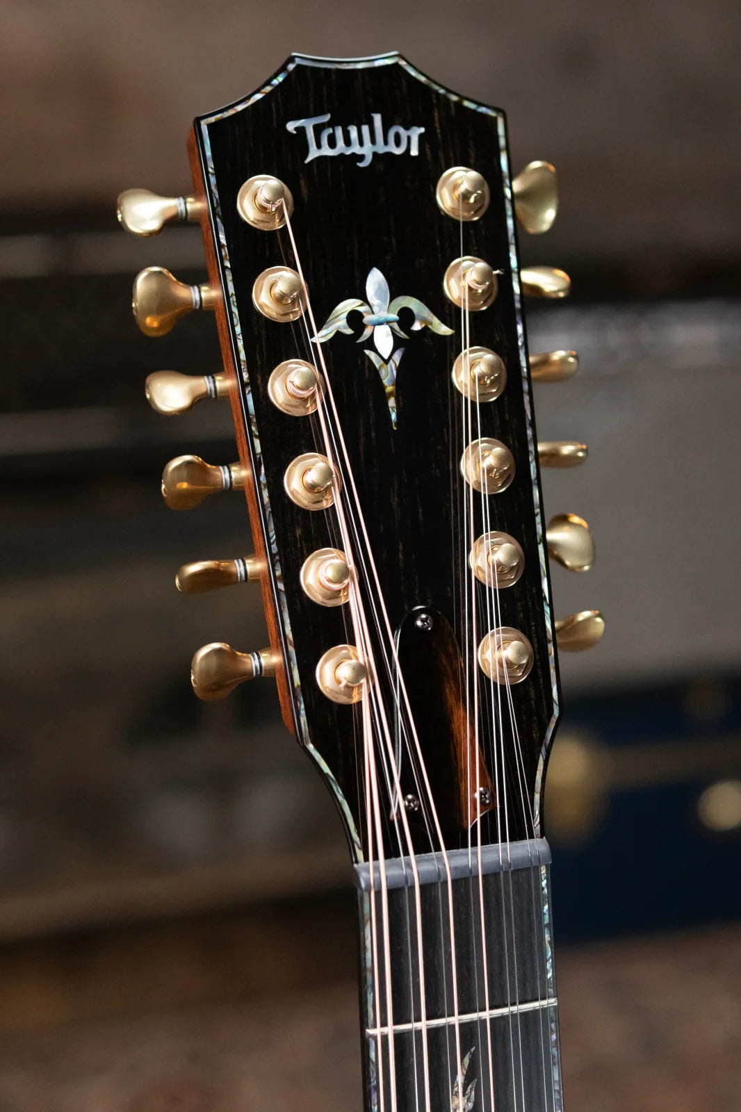 new Taylor PS52ce Presentation Series 12 String Grand Concert Acoustic Electric with Hardshell Case haggertys 05
