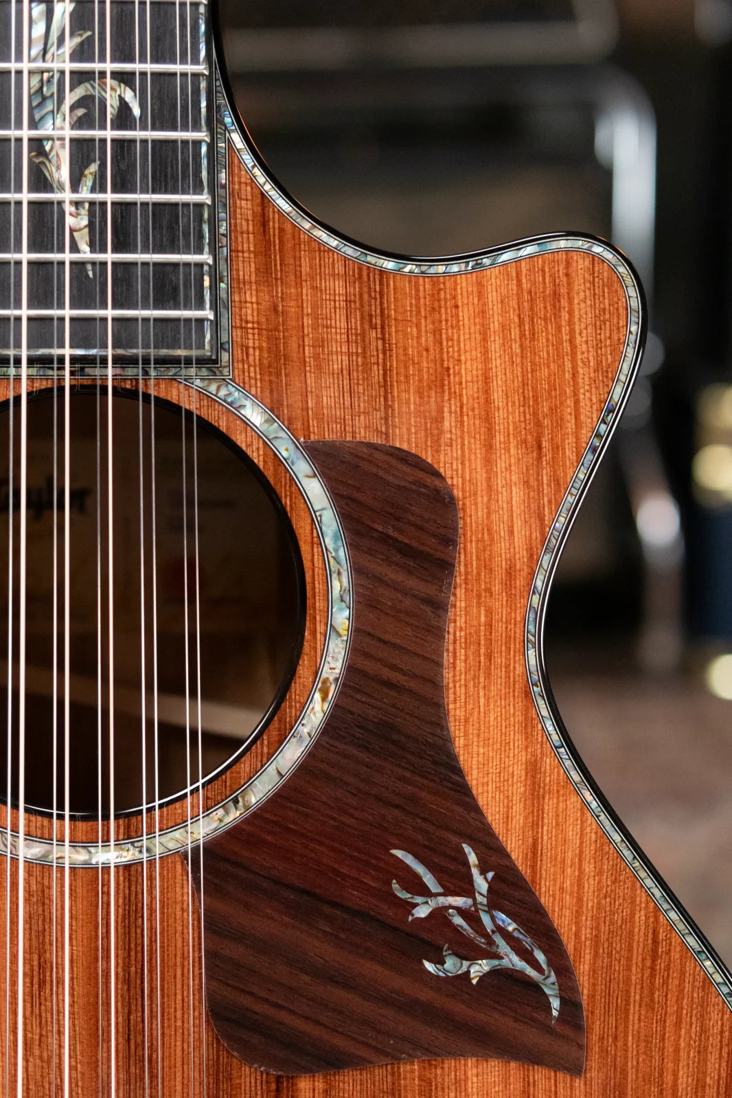 new Taylor PS52ce Presentation Series 12 String Grand Concert Acoustic Electric with Hardshell Case haggertys 13