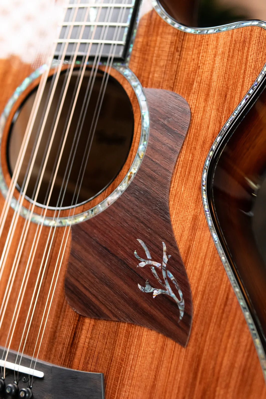 new Taylor PS52ce Presentation Series 12 String Grand Concert Acoustic Electric with Hardshell Case haggertys 14