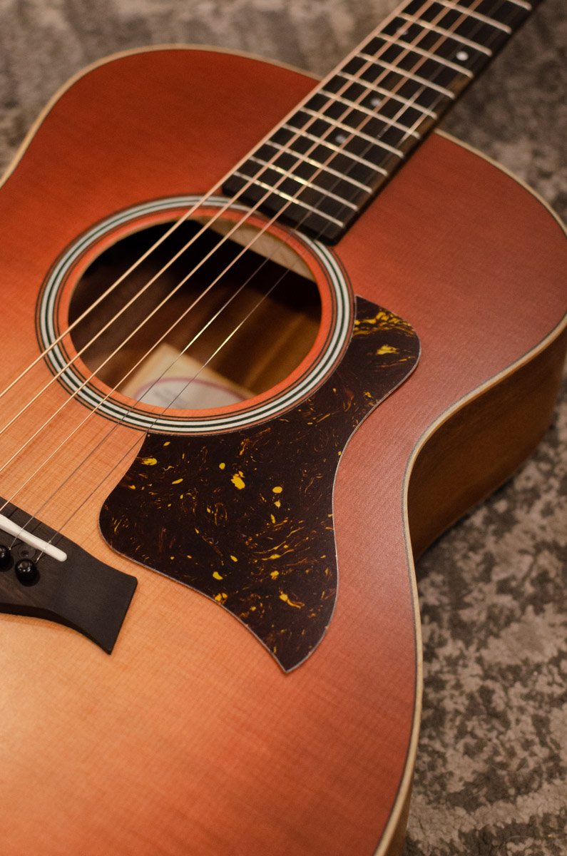 new Taylor Pickgaurd GS Mini Tortoise haggertys 2