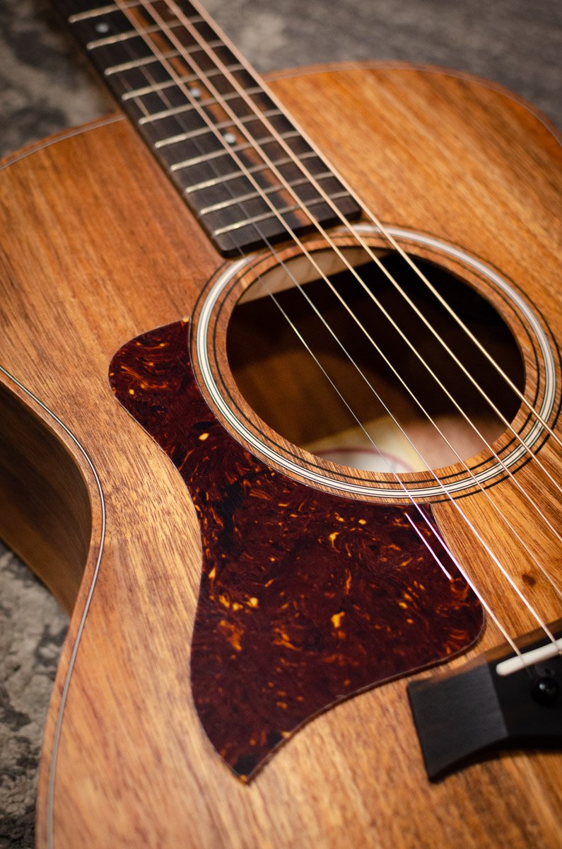 new Taylor Pickguard Left Handed GS Mini Tortoise haggertys 2