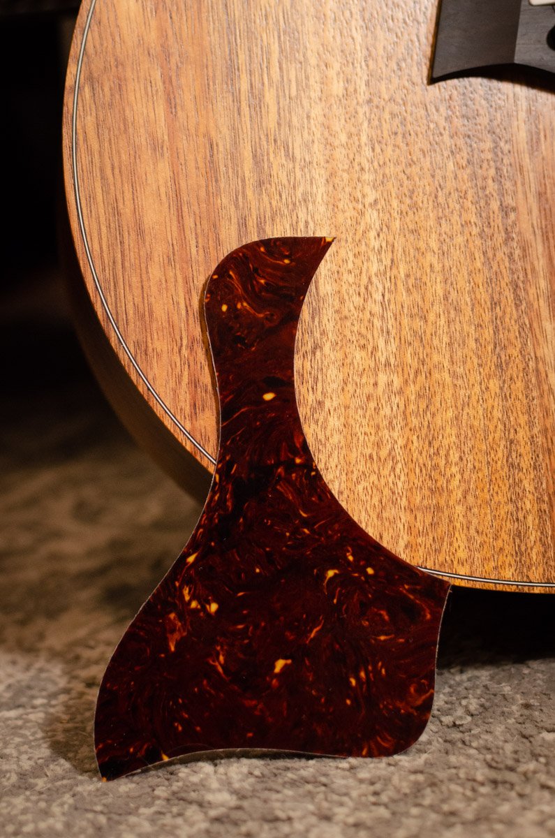 new Taylor Pickguard Left Handed GS Mini Tortoise haggertys 3