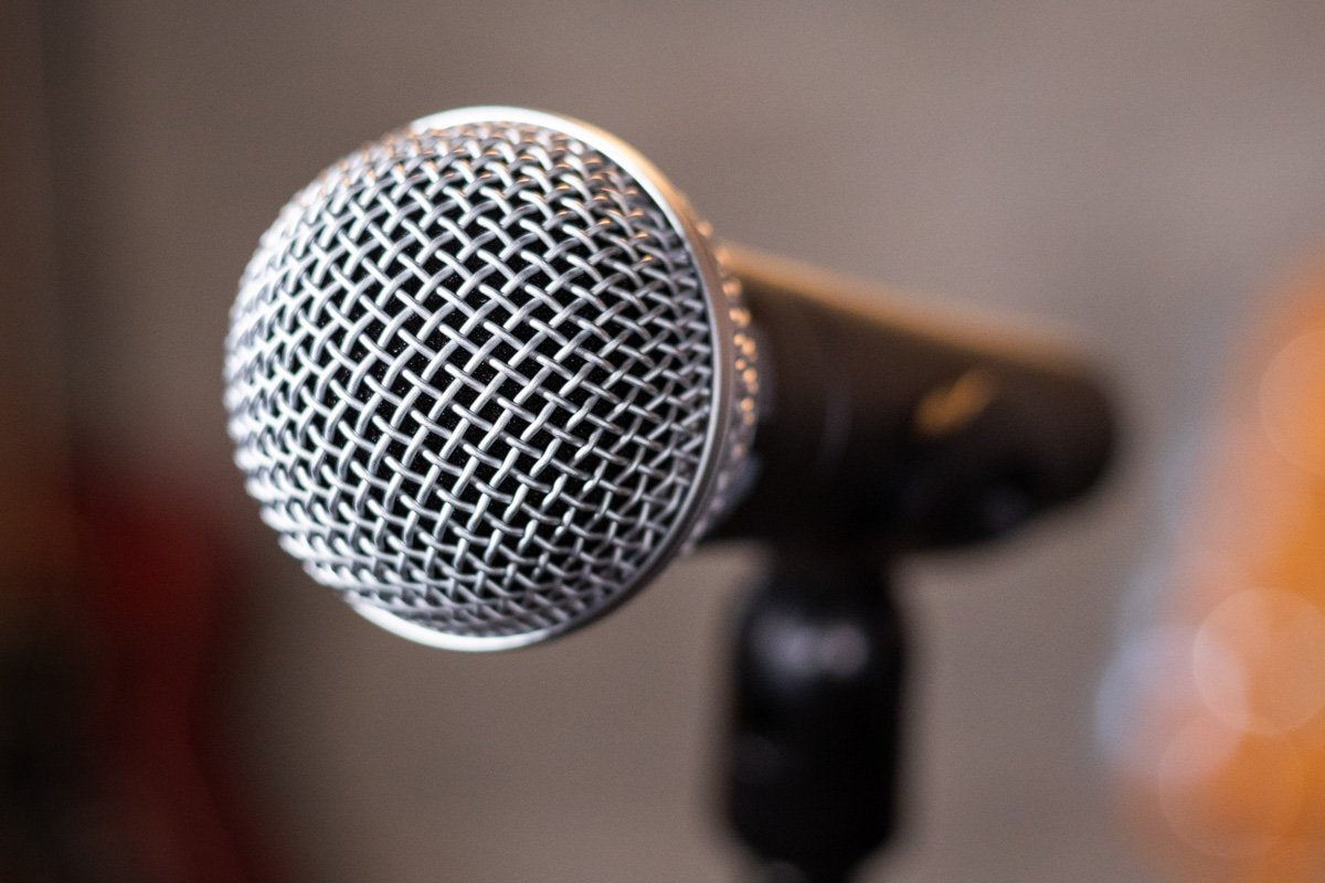 shure sm58 LC microphone haggertys 2