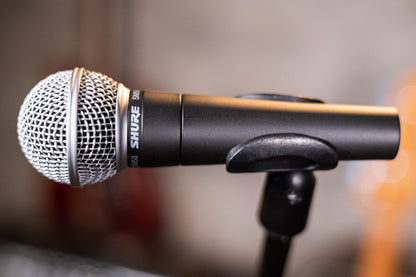 shure sm58 LC microphone haggertys 3