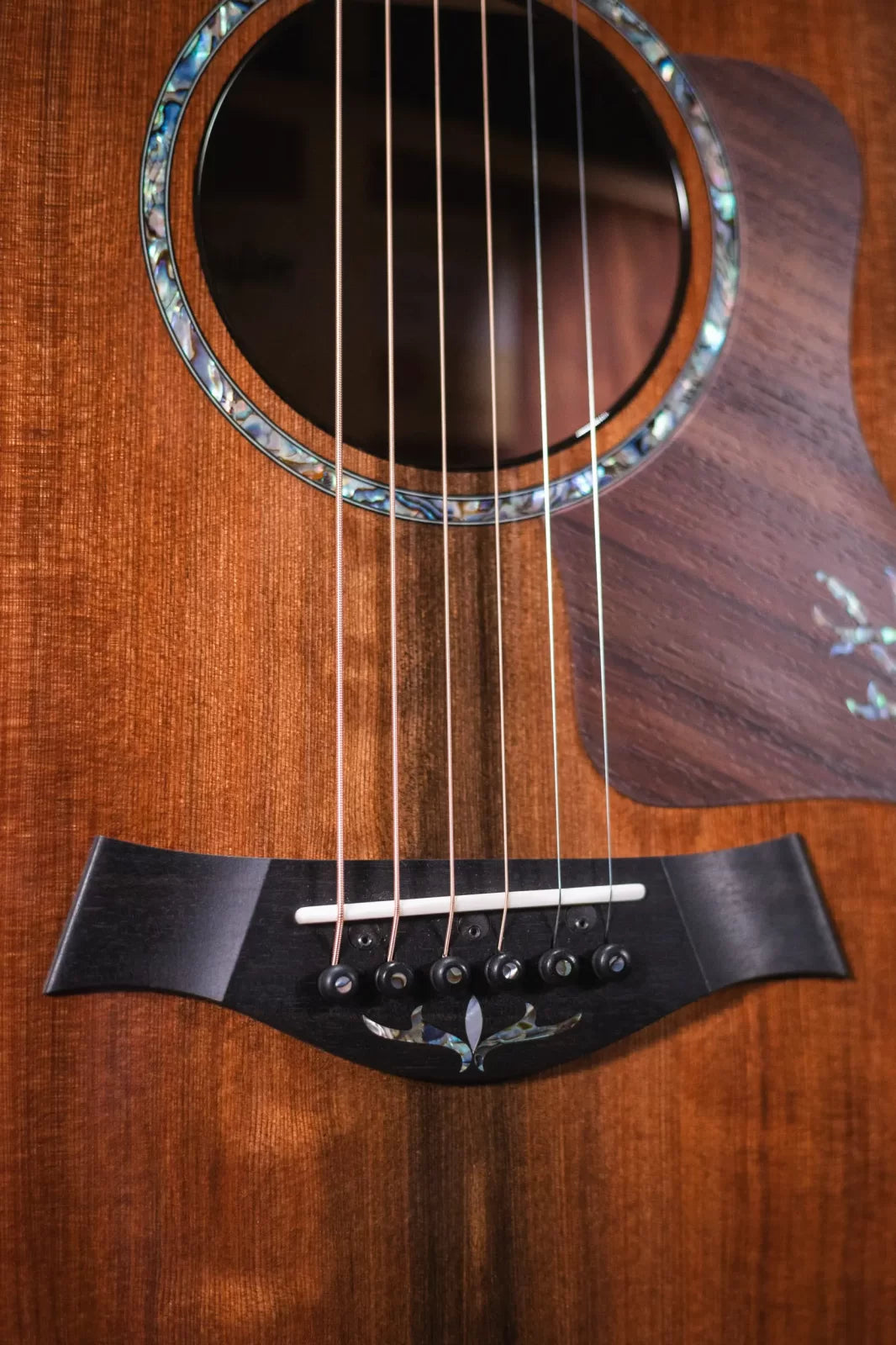 Taylor PS14ce Honduran Rosewood/Sinker Redwood Acoustic/Electric with Deluxe with Hardshell Case